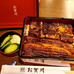 Unagi Ogawa - 