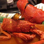 舞桜 - 伊勢海老「