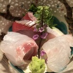 汐見 - 鰤、鮃、間八