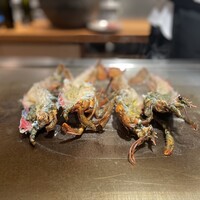 京風鉄板 はせ川 - 