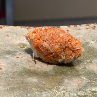 吉凰 はなれ - セイコガニ