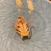 天ぷら 福たろう - 