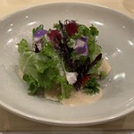 スリオラ - ルッコラステーションのサラダ　トマトとケッパーのジュレ