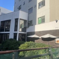 coci - 