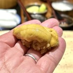 鮨 西崎 - ■紫雲丹
      本当にふんわりと握ります。
      米粒と米粒との間の空気からも、華やかな雲丹の香りが広がるよう。