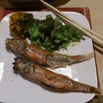 千鳥 - 山口県　萩・北浦産の『金太郎』（きんたろう）　女性芸人ではありません