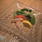 NOBU TOKYO - 