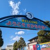 とろろ・海鮮料理 さんすい 2号店