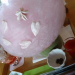 然花抄院 京都室町本店 - 