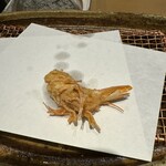 みかわ 是山居 - 