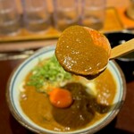 Kagawa Ippuku - ご飯とも相性が良さそうなカレールゥ