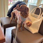 カフェ・ダイニング806 - 