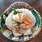 光る海 - 活ホタテ刺し