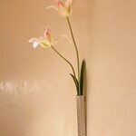 すが弥 - チューリップ。女将の見立てです