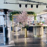 CE LA VI RESTAURANT & SKY BAR - 