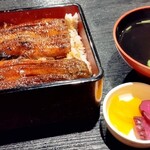 Shimizuya Washoku Unagi Enkai - 