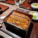 Unagi Arakawa - 