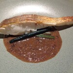 uto - ❻ 真鯛　蛍烏賊