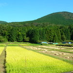 かたつむり - お店の前の風景