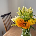 サノワ サロンドテ - 