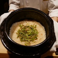 弧柳 - 