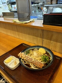 Sanuki Udon Harushin - 