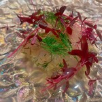 グルマンズ - 真鯛のカルパッチョ　美しい！