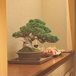 鳥匠いし井ひな - 