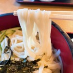 手打ちうどん・そば 子亀 - 【2023年10月】冷汁うどん＠650円、麺アップ。白色系の平麺が特徴的。