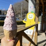 道の駅もてぎ もてぎプラザ - 