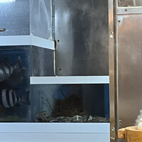 オーパス ワン - 