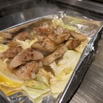 たぬき ラクーンドッグ - 