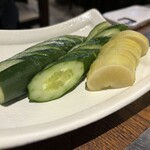 たぬき ラクーンドッグ - 