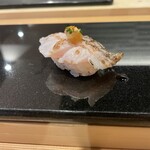 鮨と天草大王 天音 - 