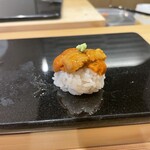 鮨と天草大王 天音 - 