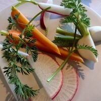 リストランテ 桜鏡 - ◯ 旬の野菜と・・・
                    バーニャカウダ
                    フリット
                    
                    
