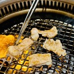 肉の山翔 - トロてっちゃん