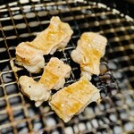 肉の山翔 - トロてっちゃん