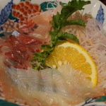 魚山人 - ヒラメとシマアジの刺身。ポン酢や柚胡椒で食べるのが旨いのです！