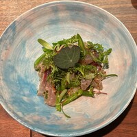 セルサルサーレ - 