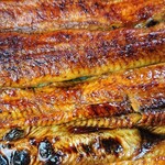 川京 - うなぎ♪接写