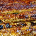 川京 - うなぎ♪