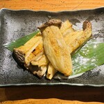 Isokura - 