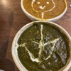 Putali Cafe - カレーアート？店主さんによる2種カレー（3色豆カレー&ほうれん草とチキンカレー）に跨がる遊び心のアートカレーに拍手！