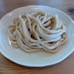 Honteuchi Udon Shouji - 