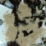 一乗寺中谷 - 201/01/18