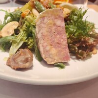 Benoit Alain Ducasse - 