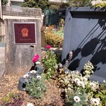 ダンディゾン - 