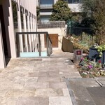 ダンディゾン - 