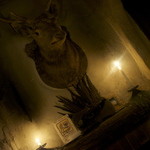 ラ シャッス - 鹿ちゃん久しぶり